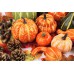 Toopify Artificial Pumpkins and Gourds, 13PCS Assorted Lifelike Pumpkins, Artificial Vegetables for Decorating Fall Craft Thanksgiving Wedding Centerpieces